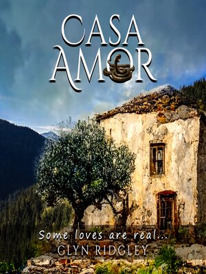 cover image of CASA AMOR